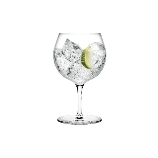 [1080822] VINTAGE : Ensemble de 2 verres à gin tonic